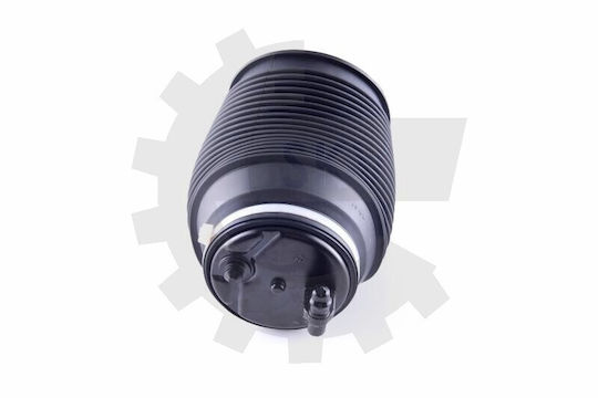 Perna Aer Pneumatică Spate Dreapta Lexus GX 4808035011
