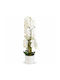 Künstliche Orchidee Weiß 150cm Topfpflanze 87555-2