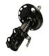 Maxgear Stoßdämpfer Vorne Toyota Auris 07 Linker 315 012