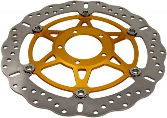 Ducati 999 S Monoposto Biposto Motorrad Bremsscheibe