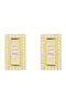 Breeze Breeze Earrings from Silver Gold Plated with Stones