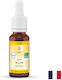 Flower Essence Willow Willow N°38 – Acceptance Inner Responsibility In Bitterness 20 Ml Drops