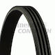 Contitech 4pk830 Elast Ribbed Transmission Belt