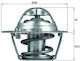 Termostat lichid de răcire Mahle Original Tx 121 74d