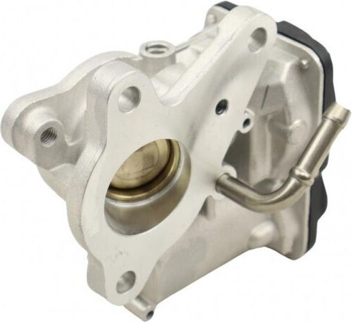 Fast Car Engine EGR Valve for Renault Master
