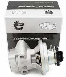SKV Βαλβίδα EGR Αυτοκινήτου για Mitsubishi Galant / L200 / Pajero SKV Βαλβίδα EGR Αυτοκινήτου για Mitsubishi Galant / L200 / Pajero
