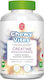 Vican Monohydrate Kreatine 5000mg 90 Gummibärchen