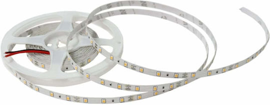 Lightex LED Лента 12V Топло Бяло Светлина