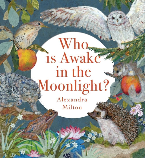 Who Is Awake In The Moonlight? - Boxer Books Limited - Paperback / Softback