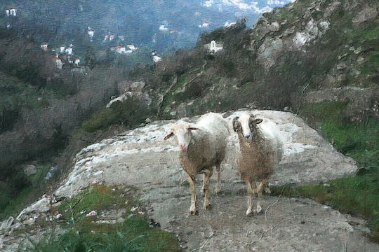 00711248 Panou De Pictură 80 X 55 Cadru Betterhome