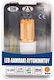 Car Lamp Led T20 12-24v 6500k 33 Smd Hyper Led – Orange Oem