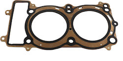 Фланец Челни Oem Benelli/752s'19-24 Leoncino800/800t 153-23-758119