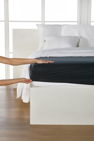 Living Home Single Bed Sheet with Rubber Hugger 100x200cm Titanium