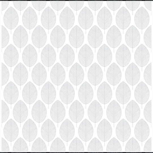 BetterHome Rollos für Schatten 2041-2 Partieller Blackout P100xHöhe 80cm MHB-TE2041-2-100x80