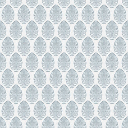BetterHome Rollos Sichtschutz 2041-3 Teilverdunkelung P100xY80cm MHB-TE2041-3-100x80