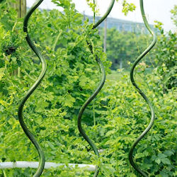 Spirală Oțel Suport Plantă Rossima Sr-11-120