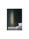 Jiju Lămpi de Perete Modern Tablou cu LED Integrat și Lumină Alb Natural Auriu 5x100x7cm