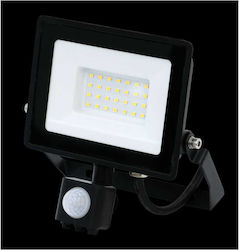 Jiju LED Flutlichter 30W 6500K