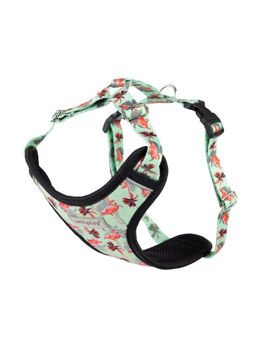 Dog Harness Amiplay Harness Discovery Be Happy ...