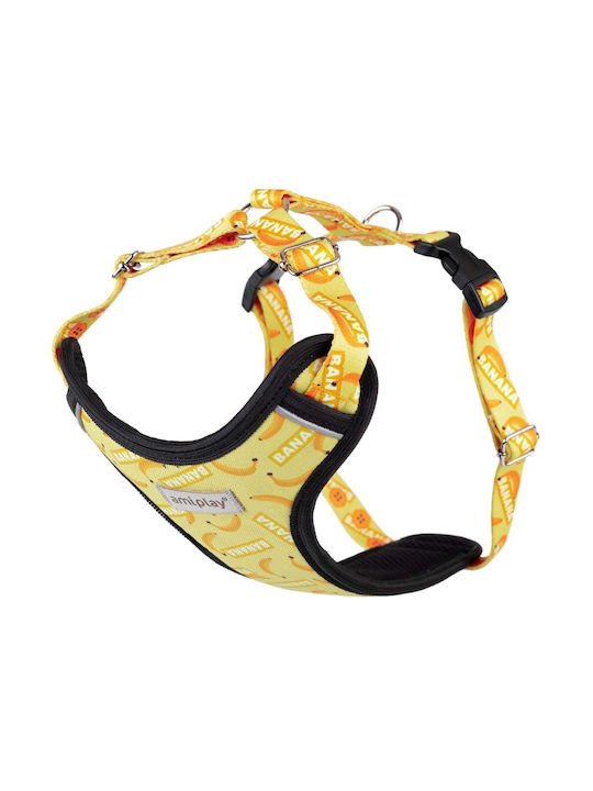 Dog Harness Amiplay Harness Discovery Be Happy ...