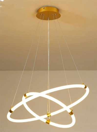 Domoletti Pendant Ceiling Light 60x40cm