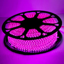 Two-Channel Purple Christmas Tube Light Two-Channel Purple Christmas Tube Light