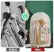 Makeup Brush Storage Case Transparent Cover