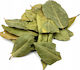 Frunze de dafin 1000gr