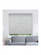 BetterHome Rollos Schatten 305001 Partieller Blackout Weiß P140xH100cm