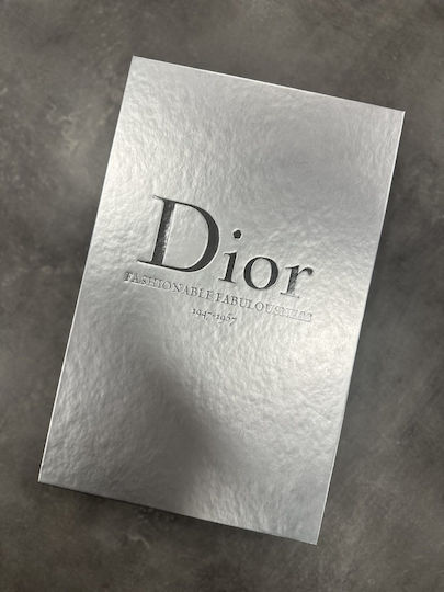 Dekorative Box Silber 16x26x4cm