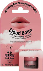 Balsam De Buze Dr. Pawpaw 5gr