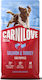Carnilove 4kg Grain-Free Dry Dog Food for Small Breed Puppies with Salmon, Turkey, Pumpkin and Apple