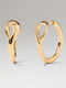 P D Paola Earrings Hoops Gold Plated with Stones