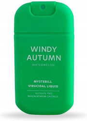 HiSkin Handdesinfektionsmittel Spray 30ml HiSkin Handdesinfektionsmittel Spray 30ml