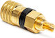 Prize Banană Aurita Conector Audio Pentru Difuzoare Cablu Până La 4 Mm Negru