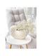 SteweHome SteweHome Keramische Dekorative Vase Beige 17x11xH25cm