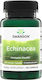 Swanson Echinacea Standardized 200mg 60 Capsules