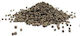 Chaste Tree 500gr