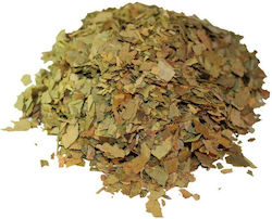 Herbstore Ginkgo Biloba Iris