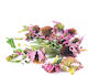 Echinacea 500gr