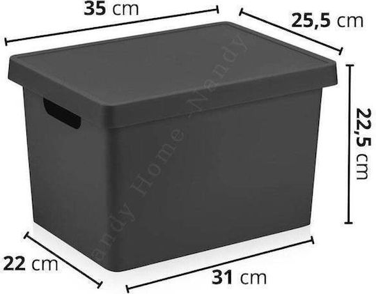 SteweHome Kunststoff Aufbewahrungsbox mit Deckel 17lt