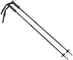 Alpine Ski Ii Poles
