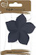 Top Choice Hair Clip