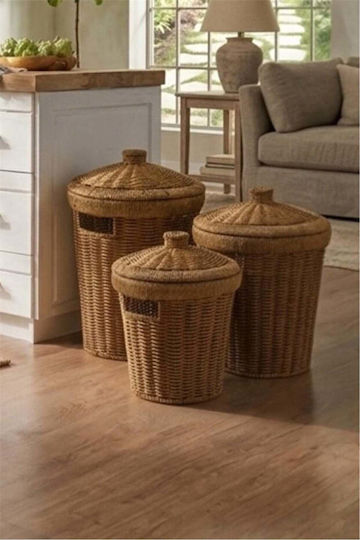 SteweHome Set Dekorative Körbe Korbweide mit Deckel Braune 30x20cm 3Stücke