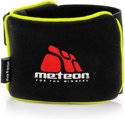 Meteor 23791 Meteor 23791