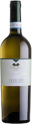 Giuseppe Campagnola Wine Casale Del Grillo Frascati White Dry 750ml