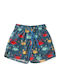 Crool Kids Swimwear Blue Swim Shorts