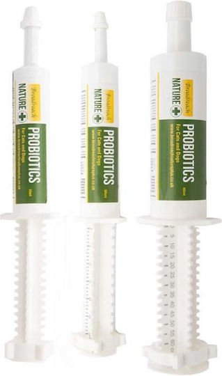 Advanced Προβιοτικά Σκύλου και Γάτας 30ml για Γαστρεντερικές Διαταραχές
