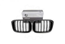 SKV Διακοσμητική Μάσκα Αυτοκινήτου BMW X3 (G01)