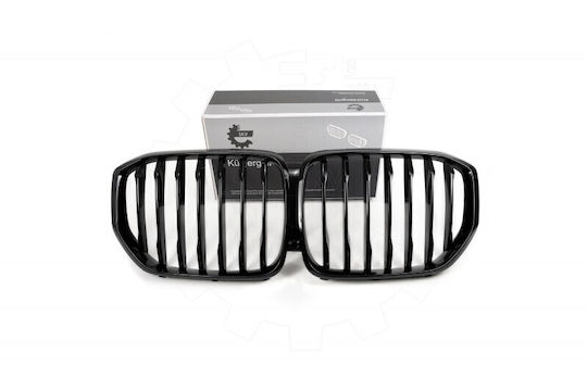 SKV BMW X5 (G05) Auto Dekorative Maske